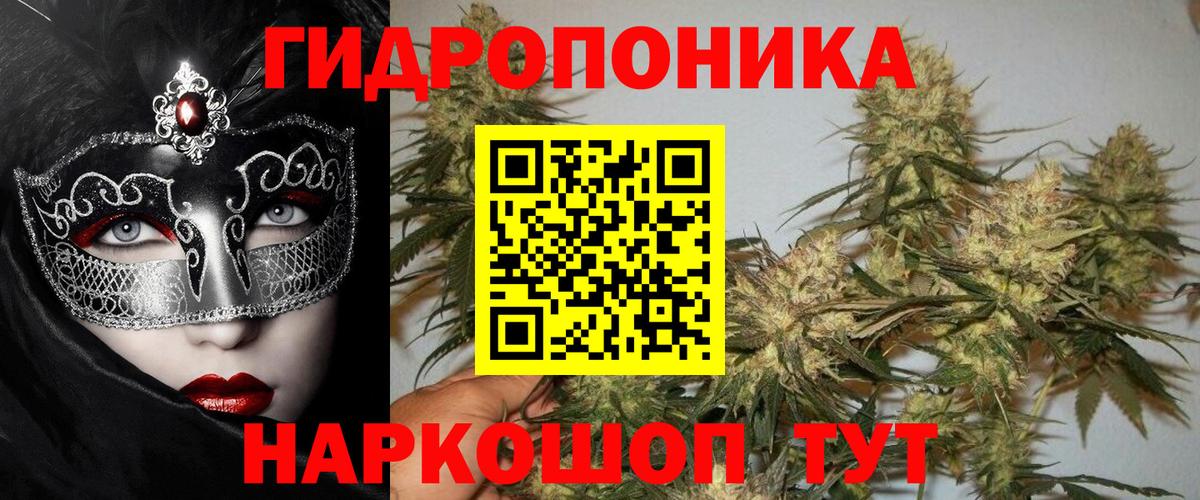 Сызрань  Каннабис индика  Конопля конопля  Каннабис индика  Вход с VPN  Каннабис SATIVA & INDICA 
